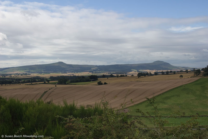 East and West Lomond from Cairnie Hill