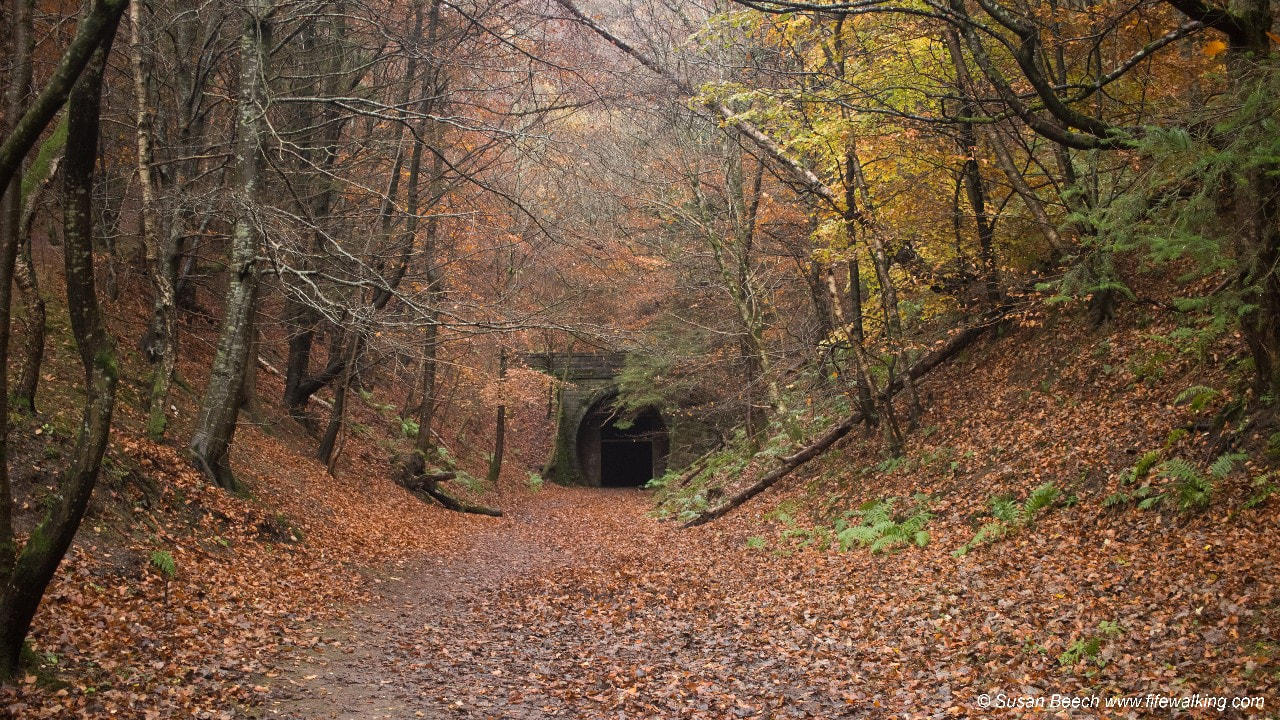 Neidpath Railway Tunnel